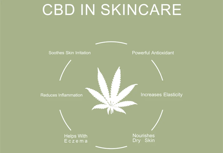 CBD Skincare 101: Incorporating Cannabidiol into Your Beauty Routine